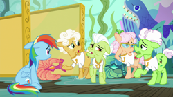 Size: 1920x1080 | Tagged: safe, imported from derpibooru, screencap, apple rose, auntie applesauce, goldie delicious, granny smith, rainbow dash, earth pony, pegasus, pony, grannies gone wild, elderly, female, floppy ears, gold horseshoe gals, mare