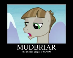 Size: 750x600 | Tagged: safe, edit, edited screencap, imported from derpibooru, screencap, mudbriar, the maud couple, male, motivational poster, sheldon cooper, solo, the big bang theory