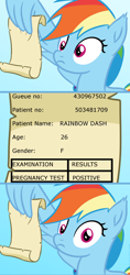 Size: 1140x2424 | Tagged: safe, artist:saphire-systrine, edit, edited screencap, imported from derpibooru, screencap, rainbow dash, pegasus, pony, grannies gone wild, blank, comic, female, image macro, meme, message, pregnancy test, pregnancy test meme, rainbow dash reading a scroll, scroll, solo, wing hands, wings