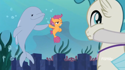 Size: 1366x768 | Tagged: safe, imported from derpibooru, screencap, scootaloo, sweetie belle, terramar, dolphin, porpoise, seapony (g4), surf and/or turf, dreamworks face, female, raised eyebrow, sea-mcs, seaponified, seapony scootaloo, seapony sweetie belle, species swap, your heart is in two places