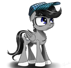 Size: 1500x1434 | Tagged: safe, artist:chopsticks, imported from derpibooru, oc, oc only, oc:chopsticks, pegasus, pony, cheek fluff, chest fluff, clothes, hat, male, simple background, solo, stallion