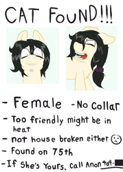 Size: 720x1008 | Tagged: safe, artist:scraggleman, imported from derpibooru, oc, oc only, oc:floor bored, earth pony, pony, angry, bags under eyes, behaving like a cat, behaving like a possum, chest fluff, female, hissing, implied anon, implied cat, implied estrus, lip bite, mare, messy mane, open mouth, ponified, poster, scrunchie, shrunken pupils, solo, text