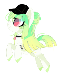 Size: 3969x4933 | Tagged: safe, artist:sorasku, imported from derpibooru, oc, oc only, earth pony, pony, cap, female, hat, mare, simple background, solo, transparent background