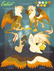 Size: 3103x4088 | Tagged: safe, artist:hioshiru, imported from derpibooru, oc, oc only, oc:ember burd, griffon, beak, claws, colored wings, ear fluff, eared griffon, gradient wings, griffon oc, high res, multicolored wings, paw pads, paws, reference sheet, sitting, spread wings, standing, talons, text, underpaw, wings