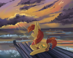 Size: 2000x1600 | Tagged: safe, artist:xjenn9, imported from derpibooru, oc, oc only, oc:amber rose, earth pony, pony, cloud, ocean, scenery, signature, smiling, solo, storm