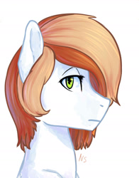 Size: 1481x1887 | Tagged: safe, artist:nightskrill, imported from derpibooru, oc, oc only, oc:coffee cream, pony, bust, male, portrait, simple background, solo, stallion, white background