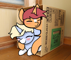 Size: 540x451 | Tagged: safe, artist:nootaz, imported from derpibooru, oc, oc:game guard, oc:nootaz, pony, box, cute, duo, gametaz, irl, nootabetes, photo, ponies in real life, pony in a box, snuggling