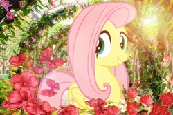 Size: 800x533 | Tagged: safe, imported from derpibooru, fluttershy, pegasus, pony, cute, female, flower, mare, shyabetes, solo, wallpaper