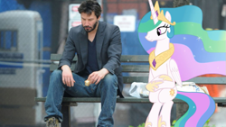 Size: 823x463 | Tagged: safe, edit, imported from derpibooru, princess celestia, human, pony, horse play, bench, city, edited photo, exploitable meme, irl, keanu reeves, meme, meta, old meme, park, photo, ponies in real life, sad keanu, sitlestia, sitting, twitter