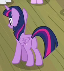 Size: 316x352 | Tagged: safe, imported from derpibooru, screencap, twilight sparkle, alicorn, pony, horse play, butt, cropped, female, plot, solo, twilight sparkle (alicorn)