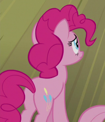 Size: 317x369 | Tagged: safe, imported from derpibooru, screencap, pinkie pie, horse play, butt, cropped, plot