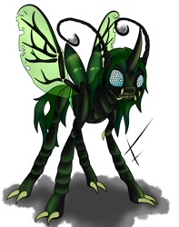 Size: 794x1006 | Tagged: safe, artist:fullmoondagger, imported from derpibooru, oc, oc only, oc:evolioz, changeling, antennae, bug eyes, changeling oc, claws, compound eyes, mandibles, simple background, solo, white background