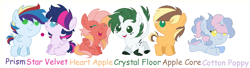 Size: 773x211 | Tagged: safe, artist:sohoneyle, imported from derpibooru, oc, oc only, oc:apple core, oc:cotton poppy, oc:crystal floor, oc:heart apple, oc:prism, oc:star velvet, dracony, hybrid, pony, baby, baby pony, base used, interspecies offspring, next generation, offspring, parent:applejack, parent:big macintosh, parent:caramel, parent:flash sentry, parent:fluttershy, parent:pinkie pie, parent:pokey pierce, parent:rainbow dash, parent:rarity, parent:soarin', parent:spike, parent:twilight sparkle, parents:carajack, parents:flashlight, parents:fluttermac, parents:pokeypie, parents:soarindash, parents:sparity, simple background, white background