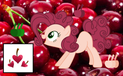 Size: 1608x1000 | Tagged: safe, artist:domiiniisiiayt, imported from derpibooru, oc, oc only, oc:cherry pie, earth pony, pony, cherry, female, food, mare, offspring, parent:cheese sandwich, parent:pinkie pie, parents:cheesepie, solo