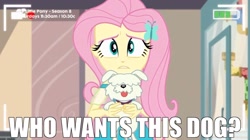 Size: 1536x863 | Tagged: safe, edit, edited screencap, imported from derpibooru, screencap, fluttershy, dog, equestria girls, equestria girls series, outtakes (episode), camera, family guy, image macro, meme, ollie williams, pup-pup, recording, reference