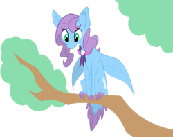 Size: 1023x809 | Tagged: safe, artist:agentkirin, imported from derpibooru, saddle rager, oc, oc only, oc:feather fluff, hippalectryon, pony, colored hooves, female, perching, power ponies, simple background, solo, sweat, sweatdrop, transparent background, tree, tree branch