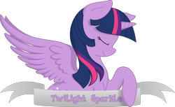 Size: 4964x3033 | Tagged: safe, artist:kopcap94, artist:php27, color edit, edit, imported from derpibooru, vector edit, twilight sparkle, alicorn, pony, absurd resolution, banner, colored, cutie mark, eyes closed, female, high res, mare, profile, simple background, smiling, solo, spread wings, transparent background, twilight sparkle (alicorn), vector, wings