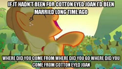 Size: 480x270 | Tagged: safe, edit, edited screencap, imported from derpibooru, screencap, applejack, pony, bats!, cotton eyed joan, cotton eyed joe, edited photo, female, image macro, meme, parody, reupload, solo, sunrise, sunset, text