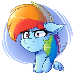 Size: 1024x1024 | Tagged: safe, artist:witchtaunter, imported from derpibooru, rainbow dash, pegasus, pony, bust, confused, female, floppy ears, mare, signature, simple background, solo, transparent background, white background, wings