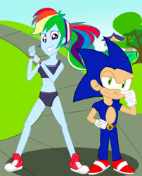 Size: 5131x6364 | Tagged: safe, artist:urhangrzerg, imported from derpibooru, rainbow dash, human, equestria girls, absurd resolution, converse, crossover, humanized, shoes, sneakers, sonic the hedgehog, sonic the hedgehog (series)