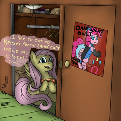 Size: 1200x1200 | Tagged: safe, artist:pavlovzdawg, imported from derpibooru, fluttershy, pinkie pie, earth pony, pegasus, pony, boxes, chocolate, closet, female, food, mare, peanut butter, reese's peanut butter cups