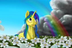 Size: 7500x5000 | Tagged: safe, artist:buchner-art, imported from derpibooru, oc, oc only, oc:flowerfield, pony, absurd resolution, flower, rainbow, solo, storm, stormcloud