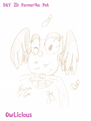 Size: 1707x2262 | Tagged: safe, artist:shinta-girl, imported from derpibooru, owlowiscious, bird, owl, feather, februpony, male, monochrome, pet, solo, traditional art