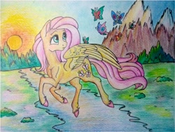 Size: 1026x770 | Tagged: safe, artist:pony-paint, imported from derpibooru, fluttershy, butterfly, pegasus, pony, female, looking back, mare, mountain, sunset, traditional art, unshorn fetlocks