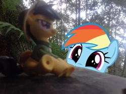 Size: 1024x765 | Tagged: safe, artist:didgereethebrony, imported from derpibooru, daring do, rainbow dash, bench, blue mountains, cute, dashabetes, fangirl, figure, figurine, happy, irl, katoomba, mlp in australia, obsessed, obsession, photo, photobomb, ponies around the world, ponies in real life, smiling, squee, toy