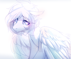 Size: 2741x2264 | Tagged: safe, artist:mich-art, imported from derpibooru, oc, oc only, pegasus, pony, ear fluff, female, light, looking at you, mare, simple background, solo, spread wings, white background, white hair, wings