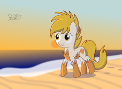 Size: 2000x1454 | Tagged: safe, artist:trackheadtherobopony, imported from derpibooru, oc, oc only, oc:ember, earth pony, pony, beach, solo, sunset