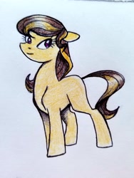 Size: 3024x4032 | Tagged: safe, artist:smirk, imported from derpibooru, oc, oc only, pony, solo, traditional art