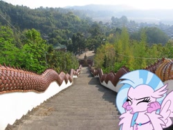 Size: 1000x750 | Tagged: safe, imported from derpibooru, silverstream, classical hippogriff, dragon, hippogriff, school daze, cute, diastreamies, excited, female, grin, irl, photo, ponies in real life, smiling, solo, squee, stairs, stairs are awesome, that hippogriff sure does love stairs