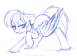 Size: 1484x1084 | Tagged: safe, artist:yoditax, imported from derpibooru, rainbow dash, pony, female, lidded eyes, monochrome, sketch, solo