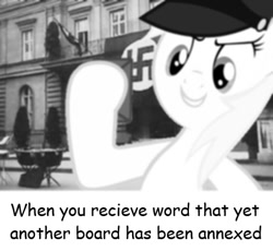 Size: 438x403 | Tagged: safe, artist:anonymous, edit, imported from derpibooru, oc, oc:aryanne, /mlpol/, aryan pony, flag, happy, hat, holding, irl, nazi, photo, swastika