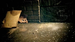 Size: 1024x576 | Tagged: safe, artist:sugarfreetargets, imported from derpibooru, scootaloo, cardboard box, hobo, hobo pony, homeless