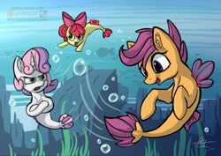 Size: 1280x905 | Tagged: safe, artist:calena, imported from derpibooru, apple bloom, scootaloo, sweetie belle, seapony (g4), surf and/or turf, bubble, crossed hooves, cutie mark crusaders, grumpy belle, ocean, open mouth, sea-mcs, seaponified, seapony apple bloom, seapony scootaloo, seapony sweetie belle, signature, species swap, speedpaint available, underwater