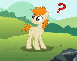 Size: 1000x800 | Tagged: safe, artist:pizzamovies, imported from derpibooru, oc, oc only, oc:pizzamovies, earth pony, pony, confused, cutie mark, grass, grass field, male, question mark, rock, solo