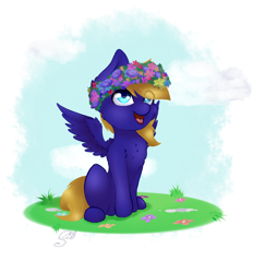 Size: 950x1024 | Tagged: safe, artist:lilrandum, imported from derpibooru, oc, oc only, oc:cloud quake, pegasus, pony, chibi, cloud, cute, detailed, detailed eyes, detailed hair, floral head wreath, flower, happy, male, shading, smiling, solo, ych result