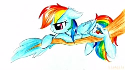 Size: 3785x2129 | Tagged: safe, artist:liaaqila, imported from derpibooru, rainbow dash, pegasus, pony, cute, dashabetes, female, mare, simple background, smiling, solo, traditional art, tree, tree branch