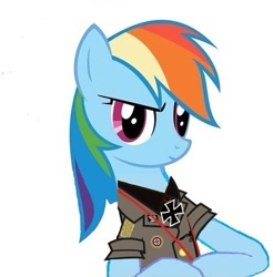 Size: 557x567 | Tagged: safe, artist:anonymous, edit, imported from derpibooru, rainbow dash, pony, clothes, epaulettes, female, german, iron cross, mare, medal, military, national socialism, rolled up sleeves, soldier, solo, uniform, vector, wingless