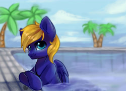 Size: 5000x3649 | Tagged: safe, artist:alphadesu, imported from derpibooru, oc, oc only, oc:cloud quake, pegasus, pony, palm tree, solo, swimming, swimming pool, tree, water, ych result