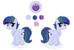 Size: 1088x725 | Tagged: safe, artist:sparkledashyt, imported from derpibooru, oc, oc only, oc:sparkle dash, pegasus, pony, chest fluff, female, magical lesbian spawn, mare, offspring, parent:rainbow dash, parent:twilight sparkle, parents:twidash, reference sheet, simple background, solo, transparent background