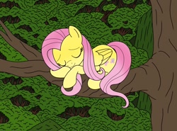 Size: 1200x887 | Tagged: safe, artist:linedraweer, imported from derpibooru, fluttershy, pegasus, pony, commission, cute, eyes closed, folded wings, nap, shyabetes, sleeping, smiling, tree, tree branch