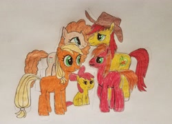 Size: 3987x2870 | Tagged: safe, artist:amaryllisg, derpibooru exclusive, imported from derpibooru, apple bloom, applejack, big macintosh, bright mac, pear butter, pony, apple family, baby, baby apple bloom, baby pony, female, filly, filly applejack, simple background, traditional art, white background, younger