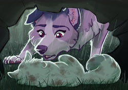 Size: 5100x3600 | Tagged: safe, artist:earthsong9405, imported from derpibooru, rarity, twilight sparkle, cat, dog, fluffy au, alternate universe, catified, description is relevant, dogified, rain, raricat, species swap, story included, twilight barkle