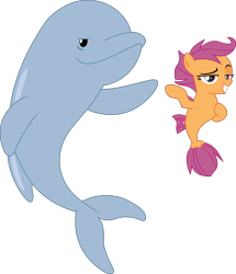 Size: 1520x1765 | Tagged: safe, artist:frownfactory, imported from derpibooru, scootaloo, dolphin, seapony (g4), surf and/or turf, .svg available, female, filly, grin, lidded eyes, seaponified, seapony scootaloo, simple background, smiling, species swap, svg, transparent background, vector