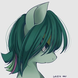 Size: 2000x2000 | Tagged: safe, artist:zakro, imported from derpibooru, oc, oc only, earth pony, pony, bust, female, lidded eyes, mare, portrait, simple background, solo