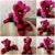 Size: 2000x2000 | Tagged: safe, artist:burgunzik, imported from derpibooru, pinkie pie, pony, clothes, cosplay, costume, deadpool, high res, irl, marvel, photo, pinkiepool, plushie, prone, solo