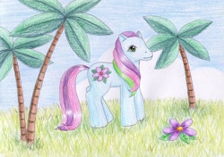 Size: 1024x722 | Tagged: safe, artist:normaleeinsane, imported from derpibooru, pony, female, flower, g3, grass, solo, star flower (g3), traditional art, tree